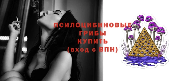 шишки Армянск